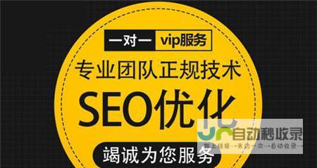 塘沽网站优化：提升网络曝光，助力企业发展